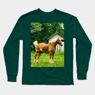 Horses - Palomino in Pasture Long Sleeve T-Shirt